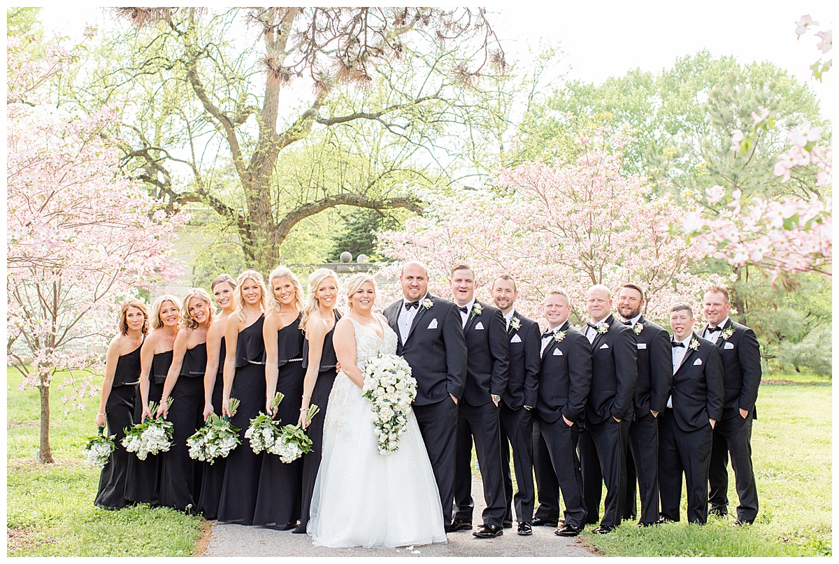 bridal party in tower grove park st Louis