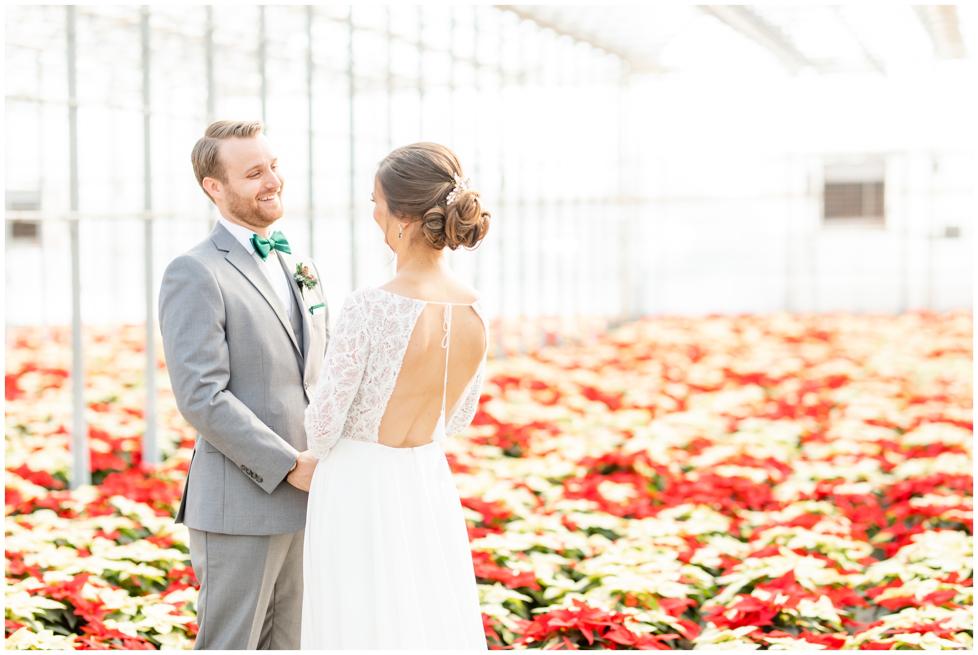 Greenhouse winter wedding bride and groom standing in poinsettias