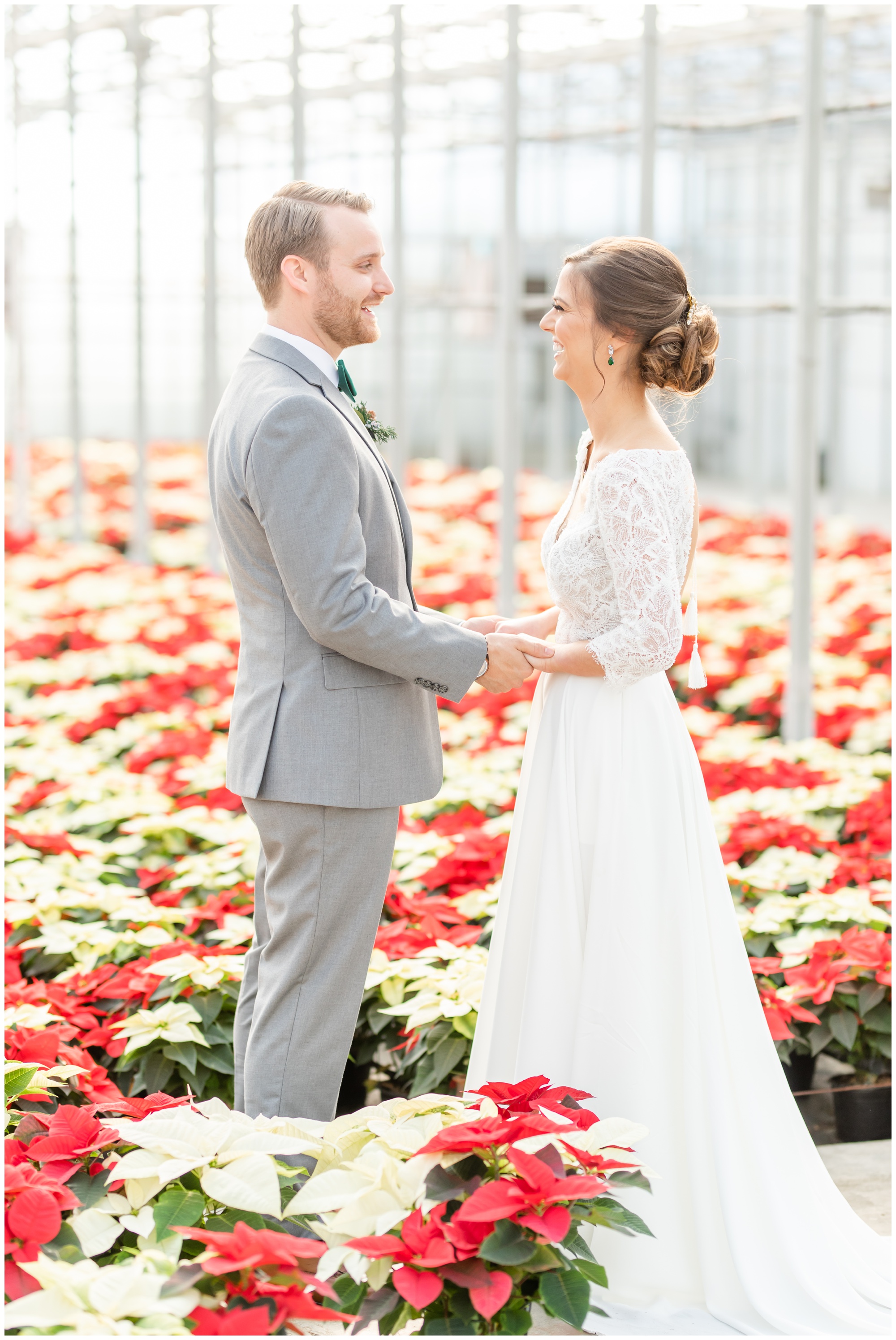 Greenhouse winter wedding with poinsettias