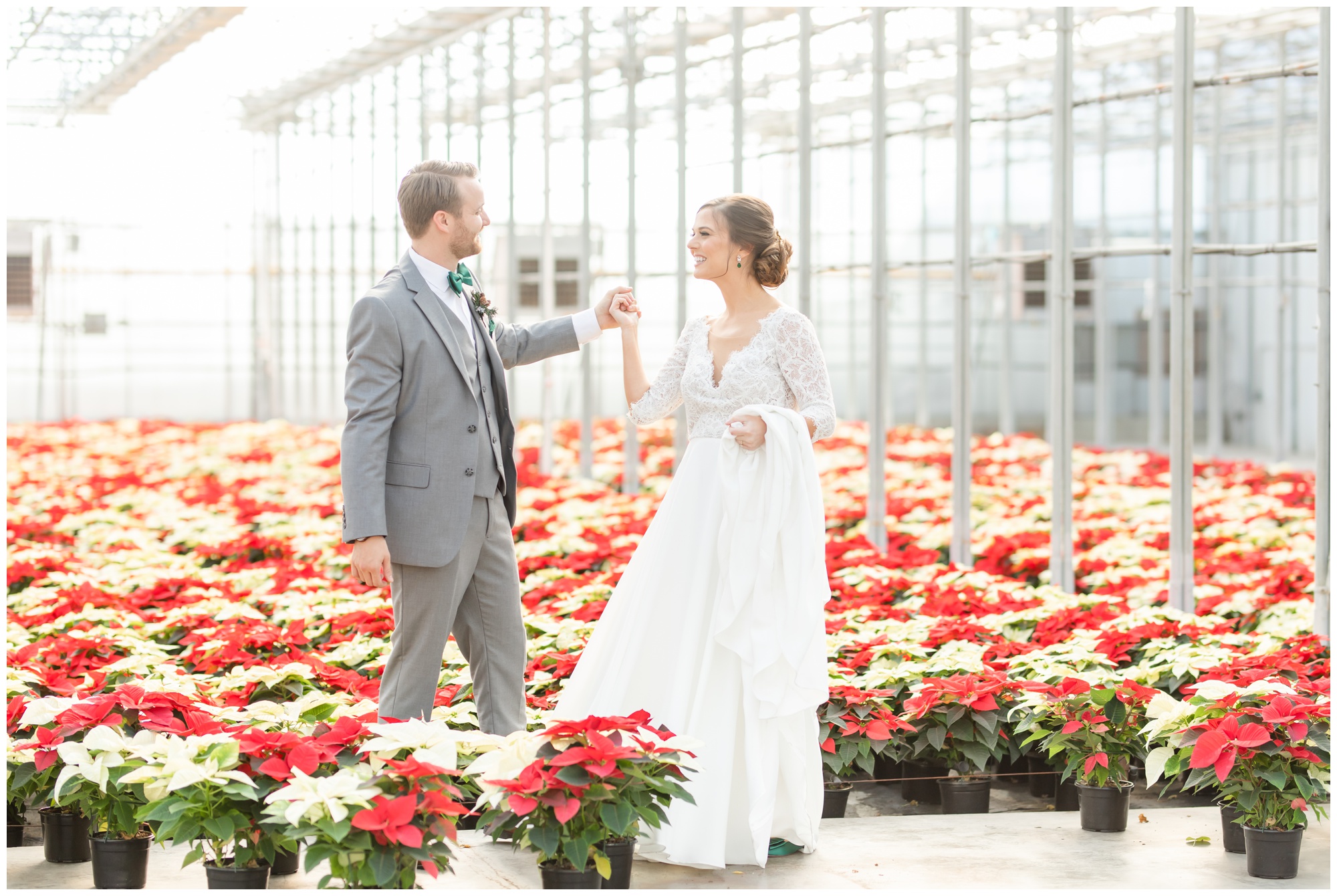 Greenhouse winter wedding red and white poinsettias